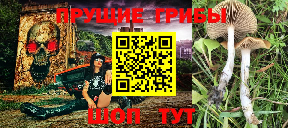 Каннабис  ГАШИШ  MDMA  ЭКСТАЗИ  Вход с VPN  Кокаин  Новочеркасск  Мефедрон   NBOMe 