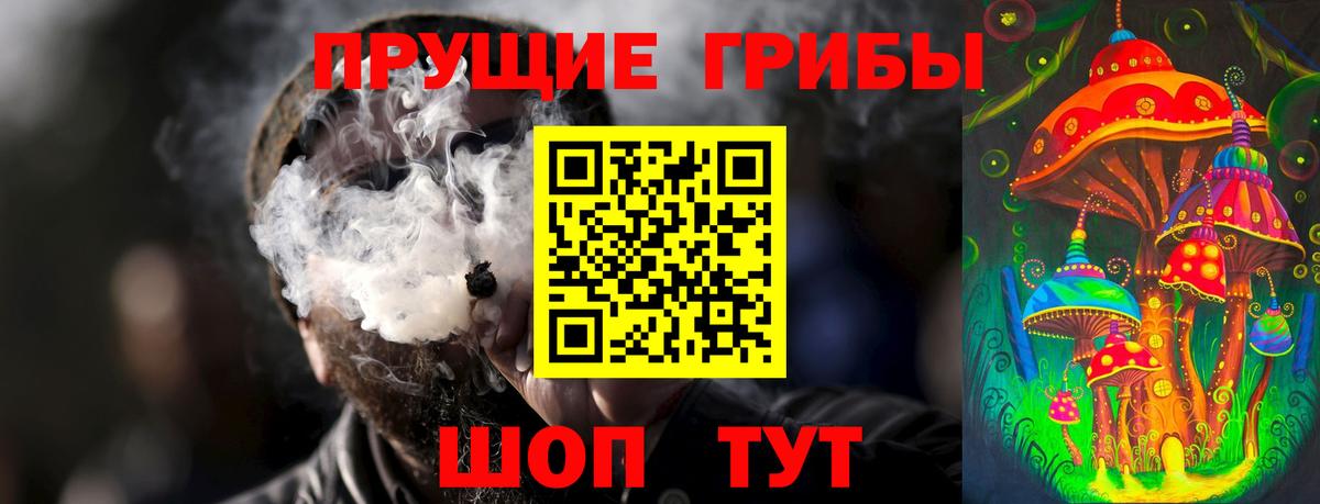 Псилоцибиновые грибы Cubensis  Вход с VPN  Новочеркасск 